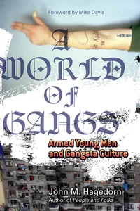 A World of Gangs_cover