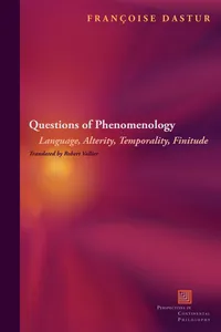 Questions of Phenomenology_cover