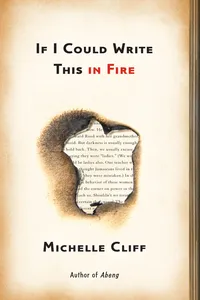 If I Could Write This in Fire_cover