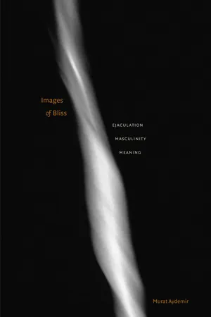 Images of Bliss