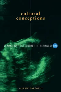 Cultural Conceptions_cover