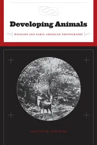 Developing Animals_cover
