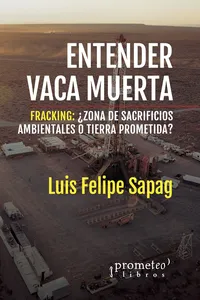 Entender Vaca Muerta