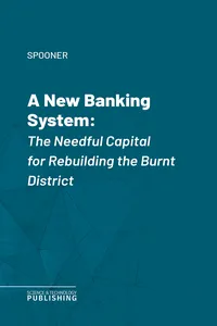 A New Banking System_cover