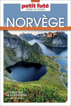 Guide Norvège 2026 Carnet Petit Futé