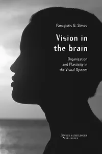 Vision in the Brain_cover