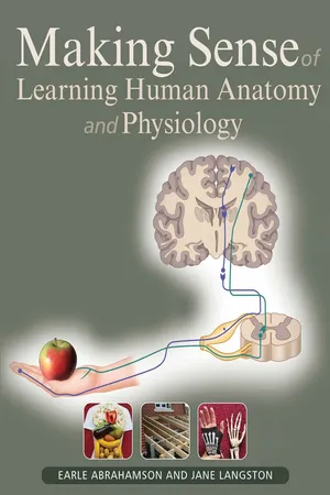 Making Sense of Human Anatomy and Physiology