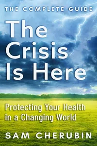 The Crisis Is Here_cover