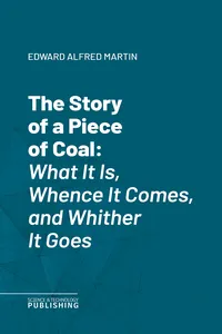 The Story of a Piece of Coal_cover