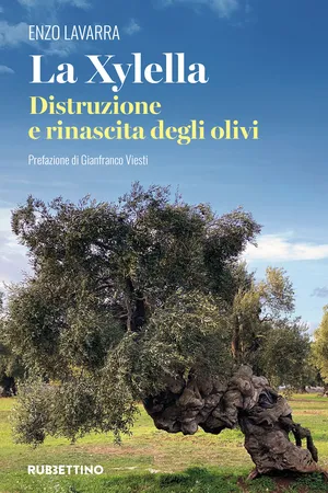 La Xylella