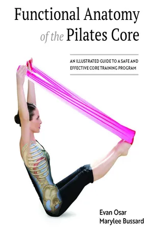 Functional Anatomy of the Pilates Core