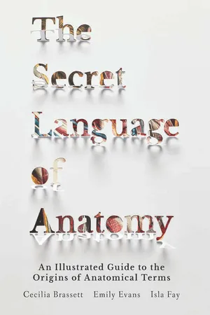 The Secret Language of Anatomy