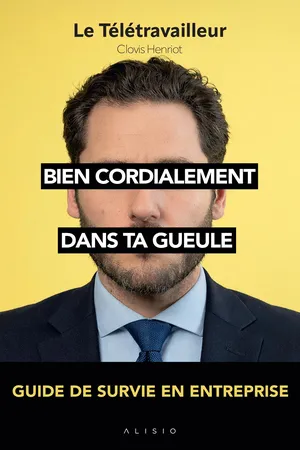 Bien cordialement : Dans ta gueule - Guide de survie en entreprise