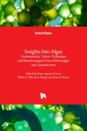 Insights Into Algae