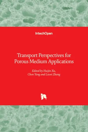 Transport Perspectives for Porous Medium Applications