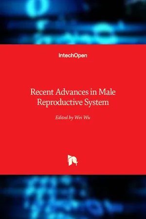 Recent Advances in Male Reproductive System