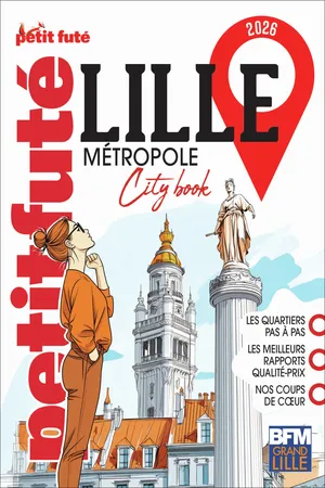 Guide Lille Métropole 2026 Petit Futé
