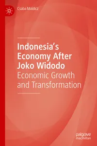 Indonesia’s Economy After Joko Widodo_cover