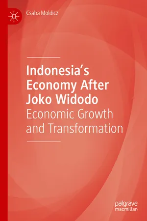 Indonesia’s Economy After Joko Widodo