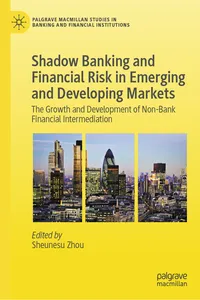 Shadow Banking and Financial Risk in Emerging and Developing Markets_cover
