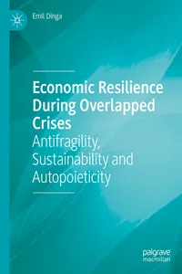Economic Resilience During Overlapped Crises_cover