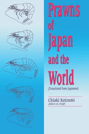 Prawns of Japan and the World