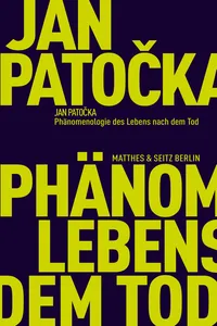 Phänomenologie des Lebens nach dem Tod_cover