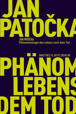 Phänomenologie des Lebens nach dem Tod