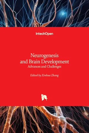 Neurogenesis and Brain Development