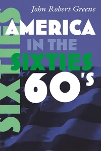 America in the Sixties_cover