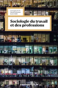 Sociologie du travail et des professions_cover