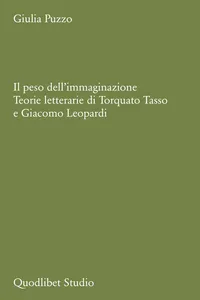 Il peso dell'immaginazione_cover