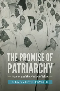 The Promise of Patriarchy_cover