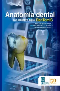 Anatomía dental con aplicativo digital DenTomIC