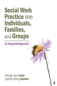 Social Work Practice With Individuals, Families, and Groups