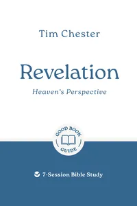 Revelation: Heaven's Perspective_cover