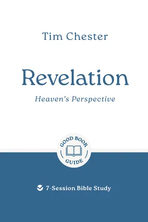 Revelation: Heaven's Perspective
