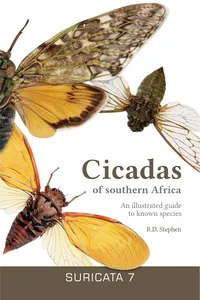 Cicadas of southern Africa_cover