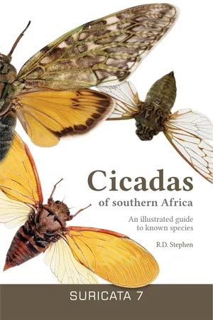Cicadas of southern Africa