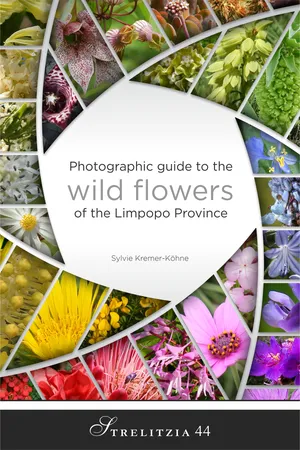 Photographic Guide to the wild flowers of the Limpopo Province