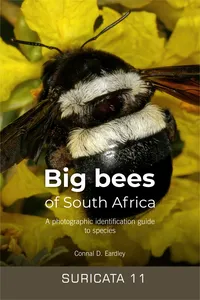 Big bees of South Africa – a photographic identification guide to species_cover