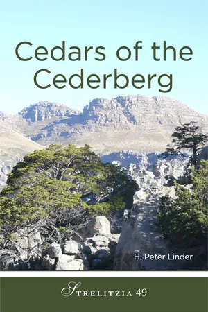 Cedars of the Cedarberg