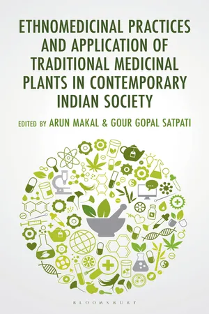 Ethnomedicinal Practices and Application of Traditional Medicinal Plants in Contemporary Indian Society