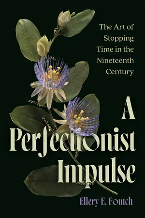 A Perfectionist Impulse