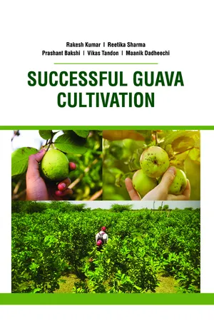 Successful Guava Cutivation