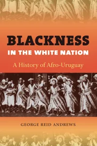 Blackness in the White Nation_cover