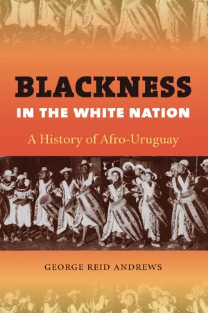 Blackness in the White Nation