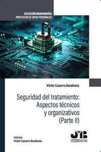 Seguridad del tratamiento: Aspectos técnicos y organizativos