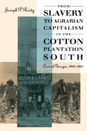 From Slavery to Agrarian Capitalism in the Cotton Plantation South