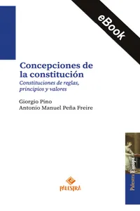 Concepciones de la constitución_cover